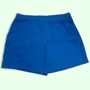 The North Face Royal Blue Shorts
